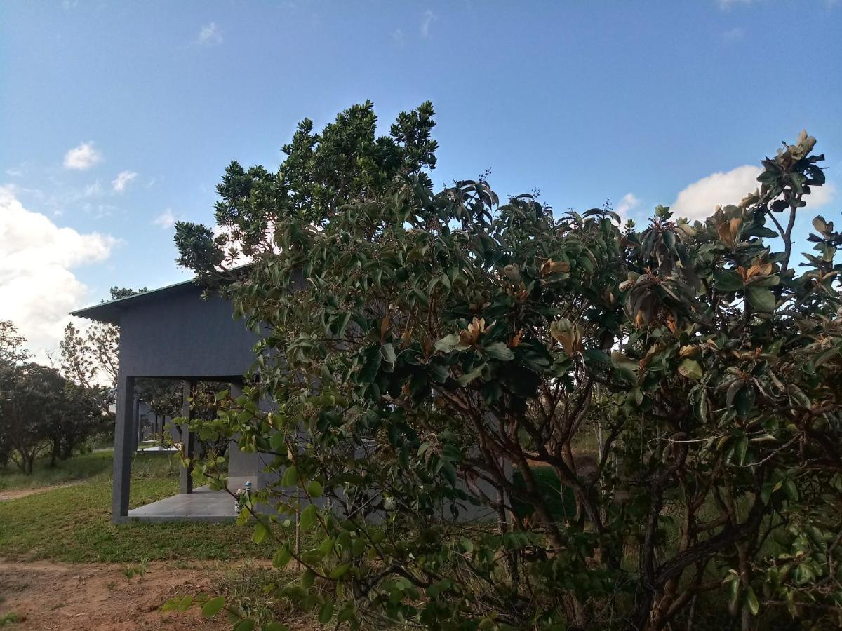 Chales Recanto Da Baleia Alto Paraíso de Goiás Εξωτερικό φωτογραφία